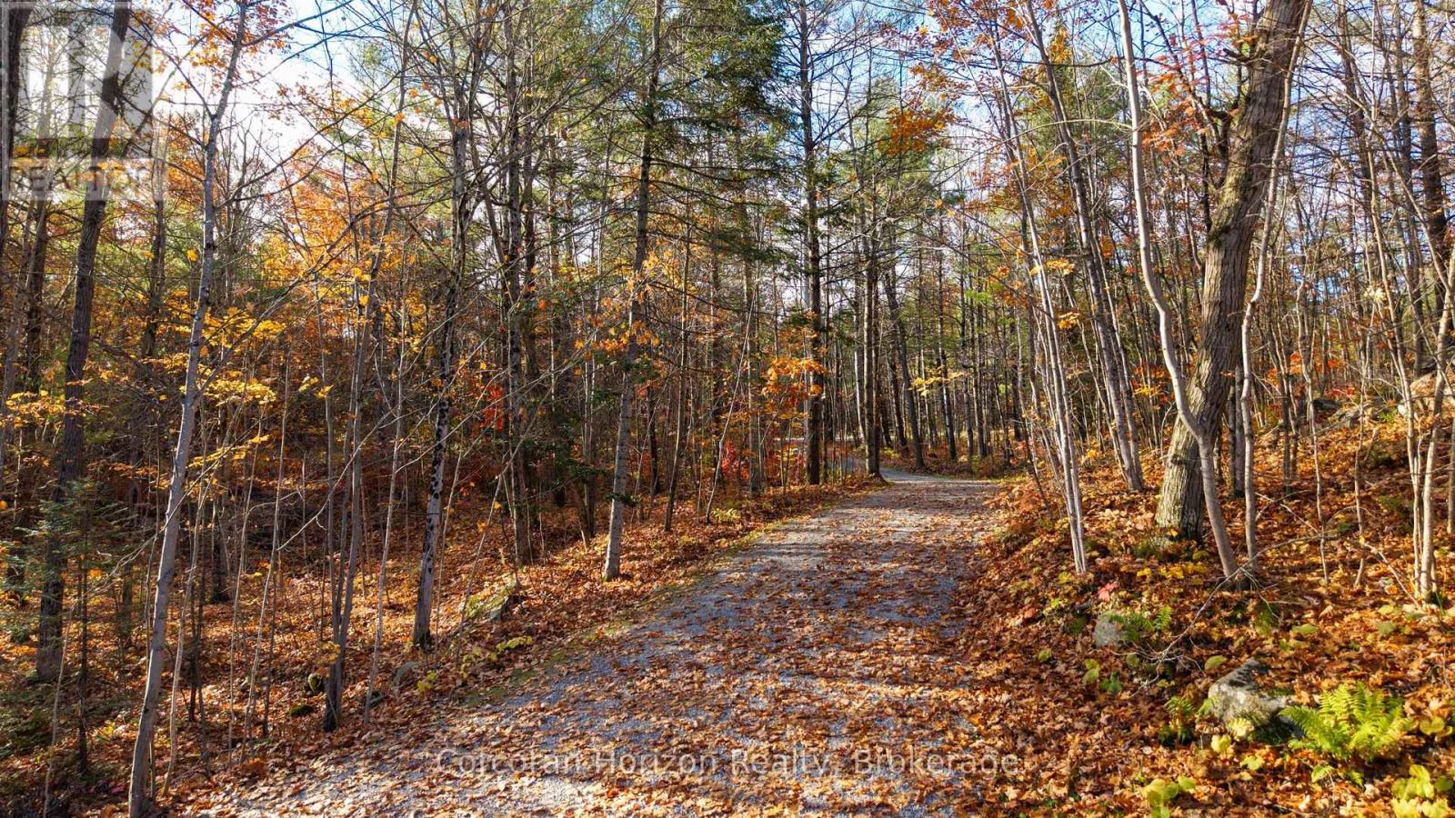 213 HASKETTS DRIVE, Georgian Bay (Baxter) — photo 5