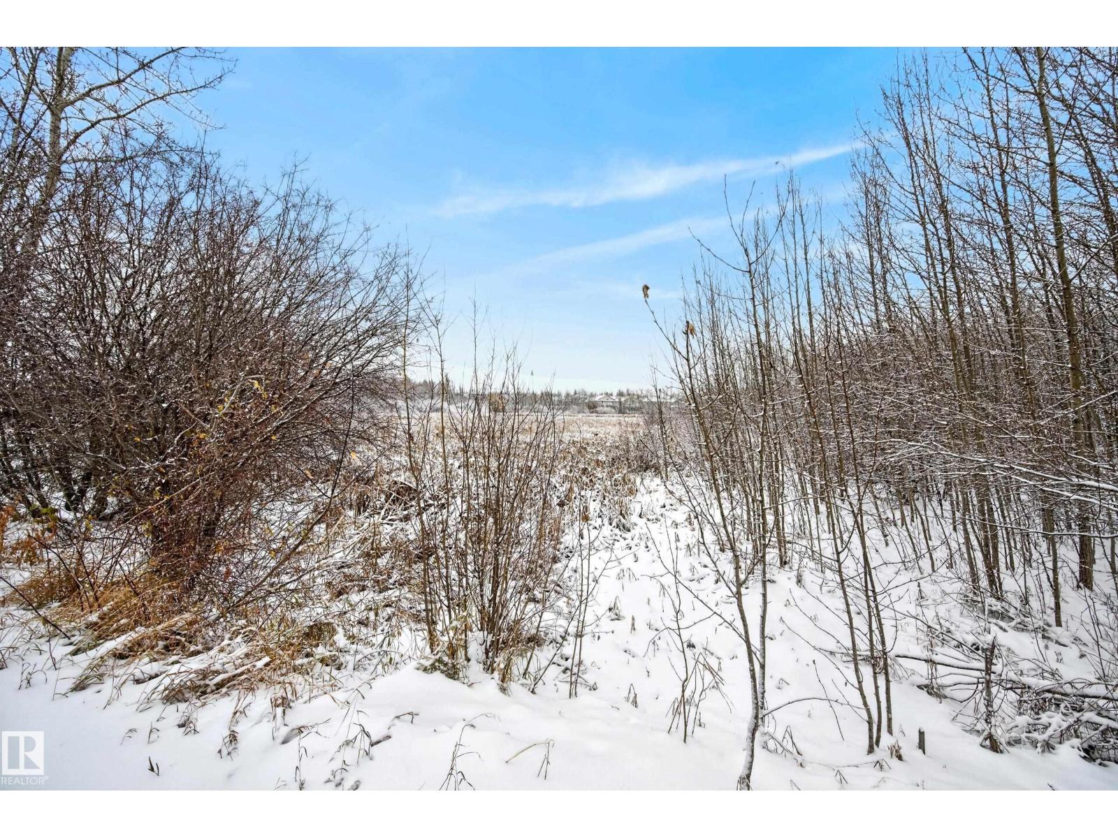 Property photograph 55 for MLS E4514903