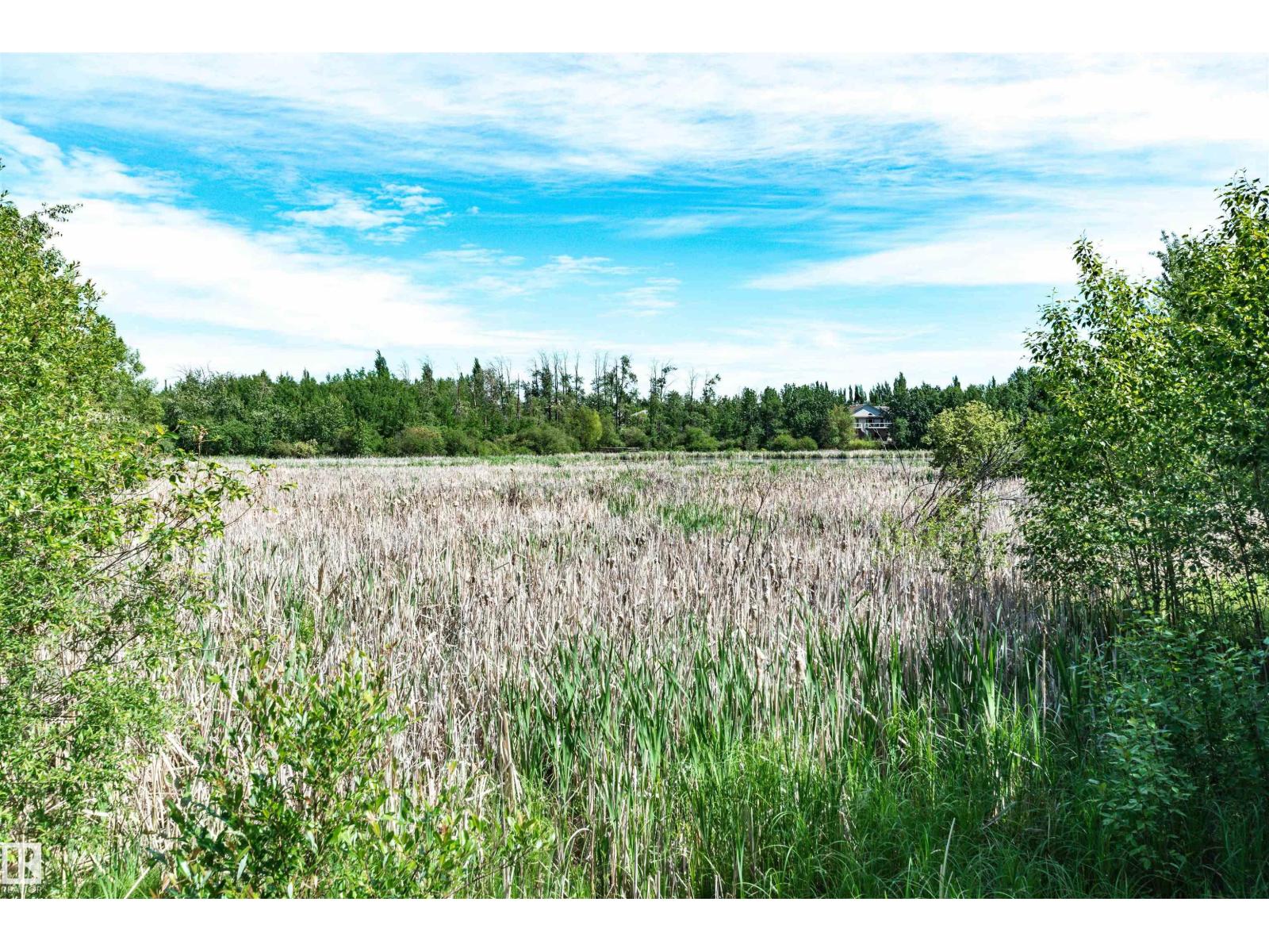Property photograph 64 for MLS E4514903