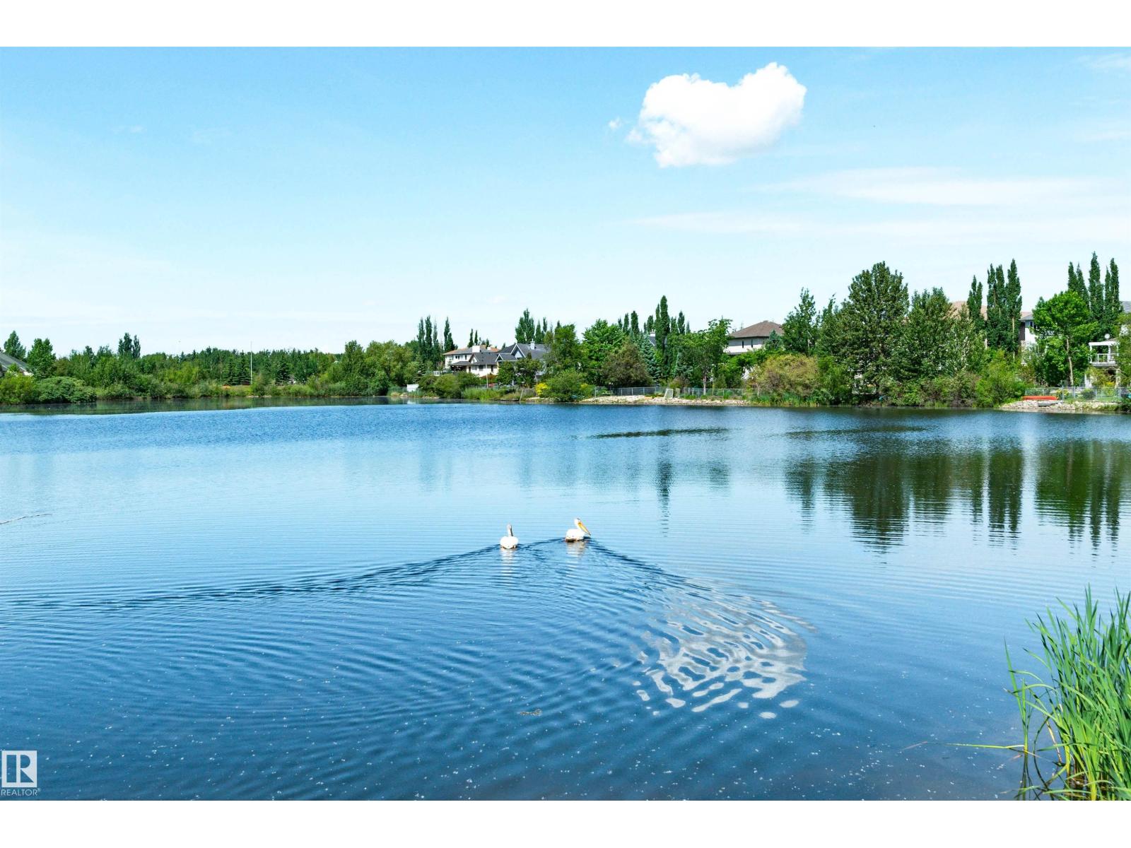 Property photograph 67 for MLS E4514903