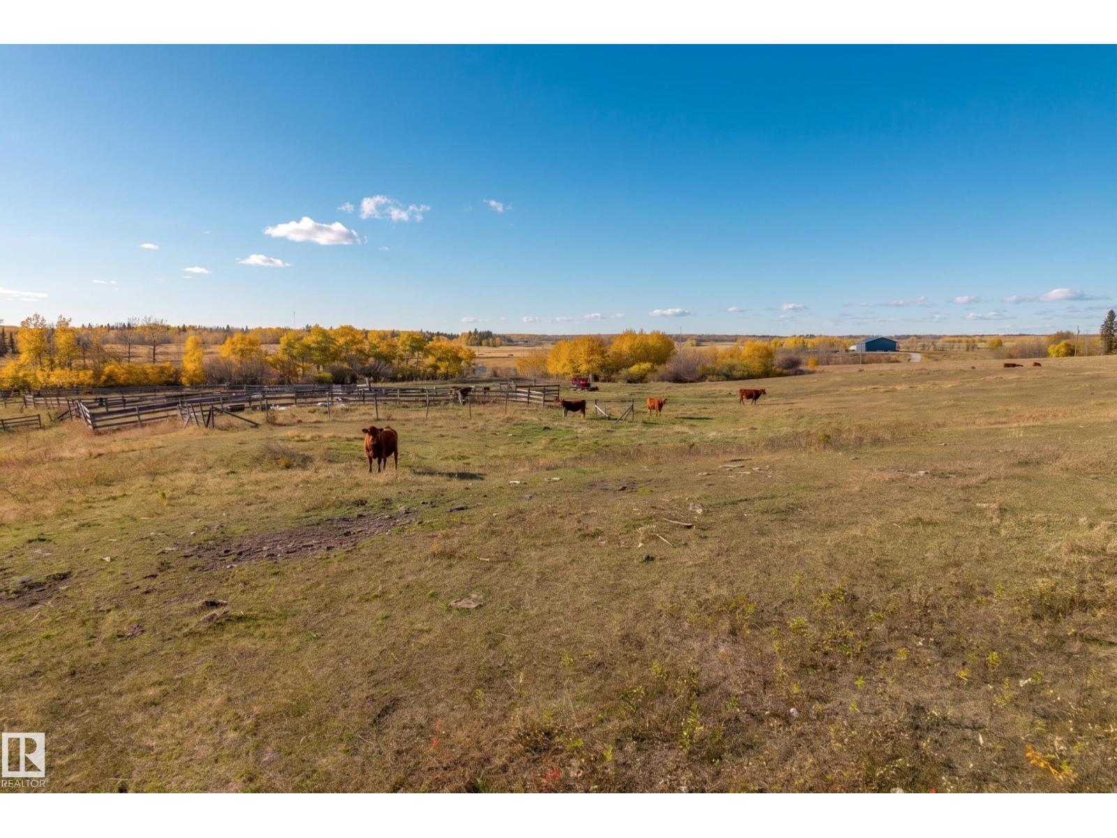 51221 Range Road 222, photo 9