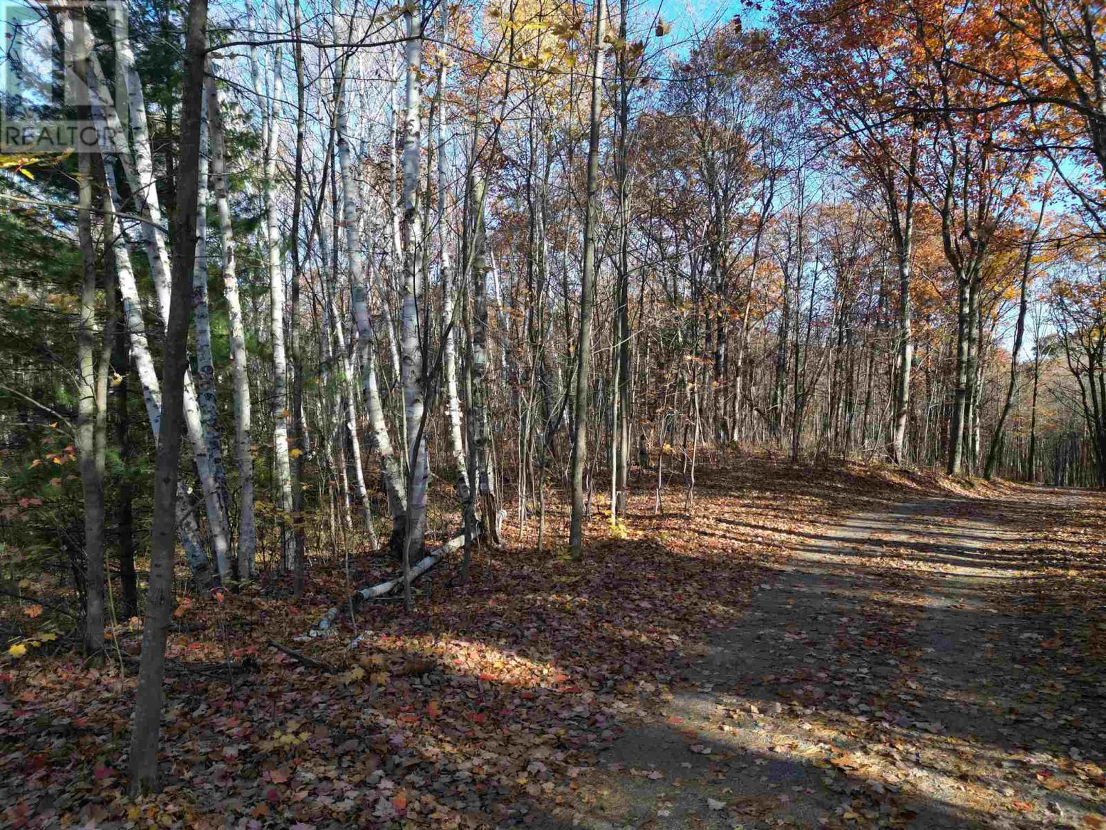 . Draper RD, Huron Shores — photo 9