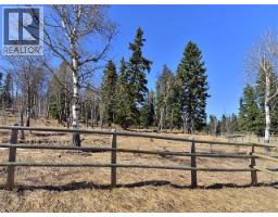 15 Kicking Horse Way, Rural Foothills County — photo 3