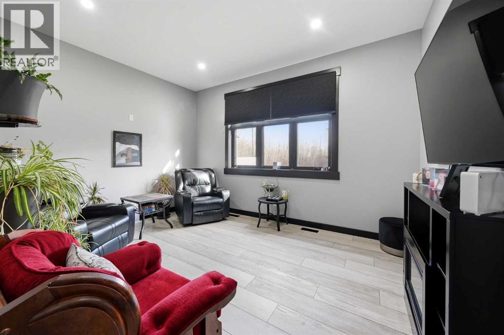 den/tv room/ bedroom