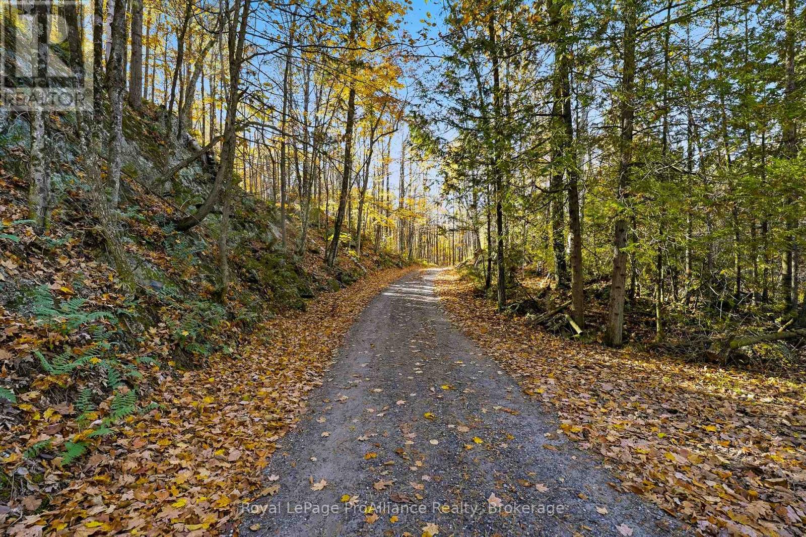 1239 TRANQUILITY LANE, North Frontenac — photo 4