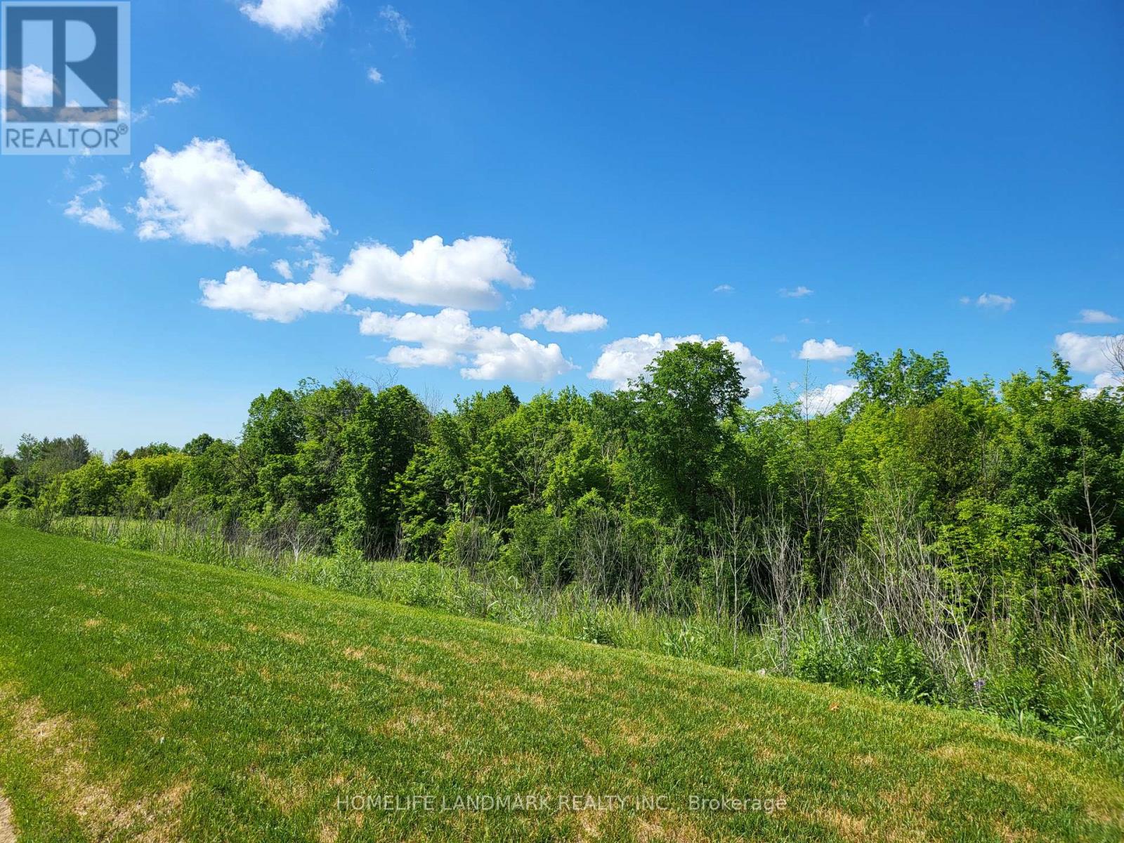 Bsmt- 1015 Kingpeak Crescent, Pickering, ON photo 11