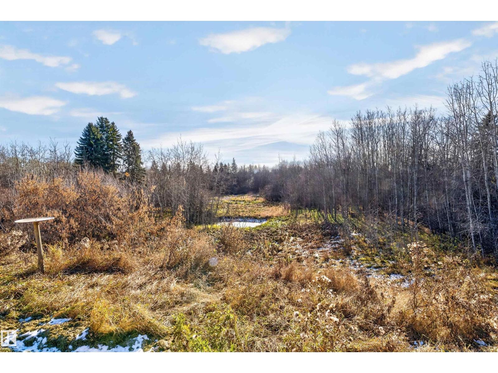 #386 52313 Range Road 232, photo 51