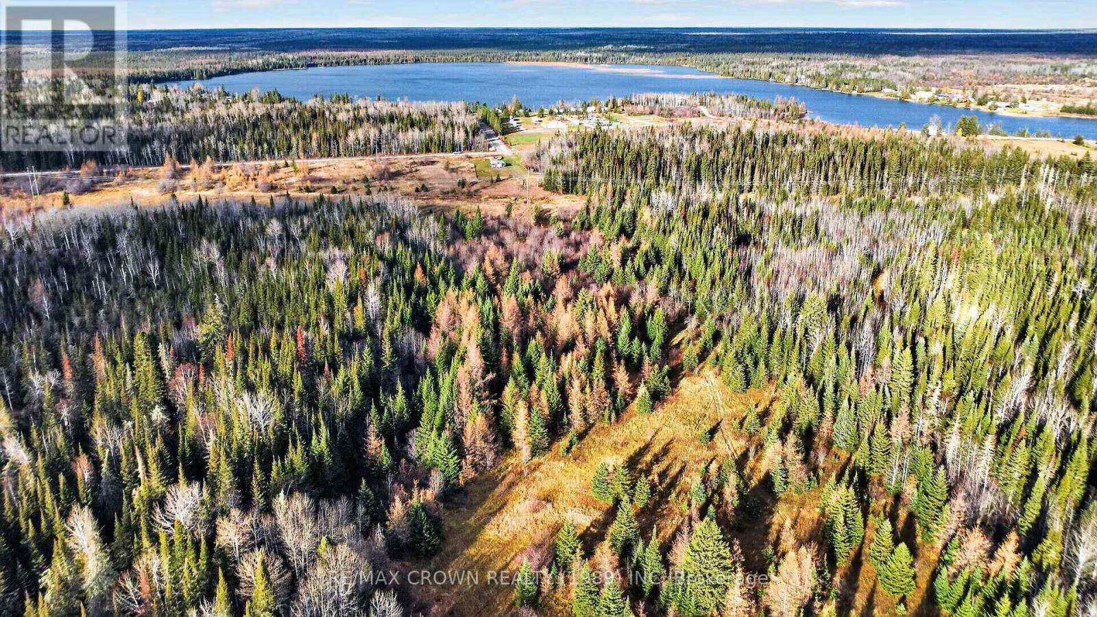 29 SHALLOW LAKE W ROAD, Mattice-Val Cote — photo 7