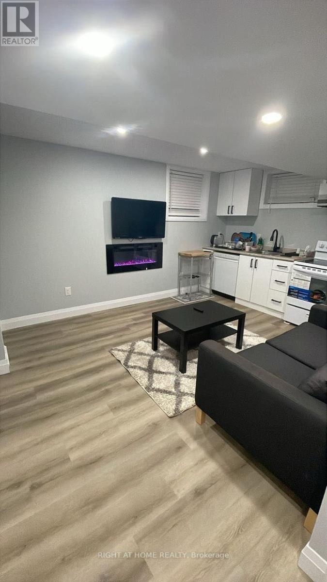 BASEMENT - 643 BLACKACRES BOULEVARD, London North (North E) — photo 2