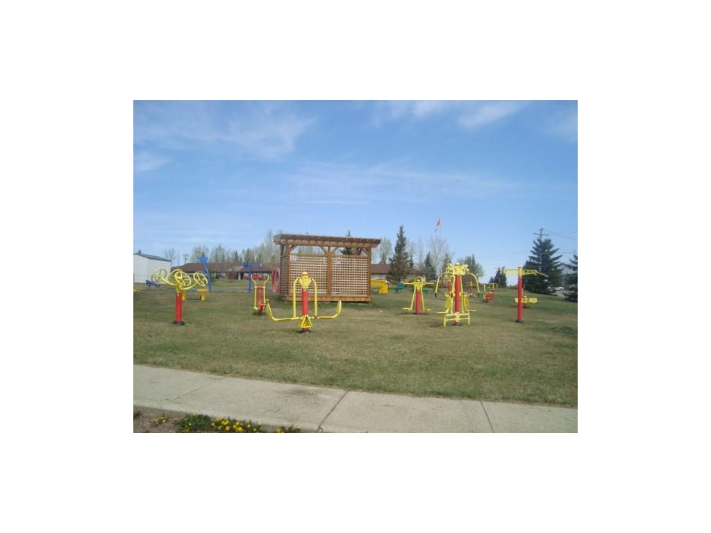 26 Evron Pl, Trochu, Alberta  T0M 2C0 - Photo 19 - C4117035