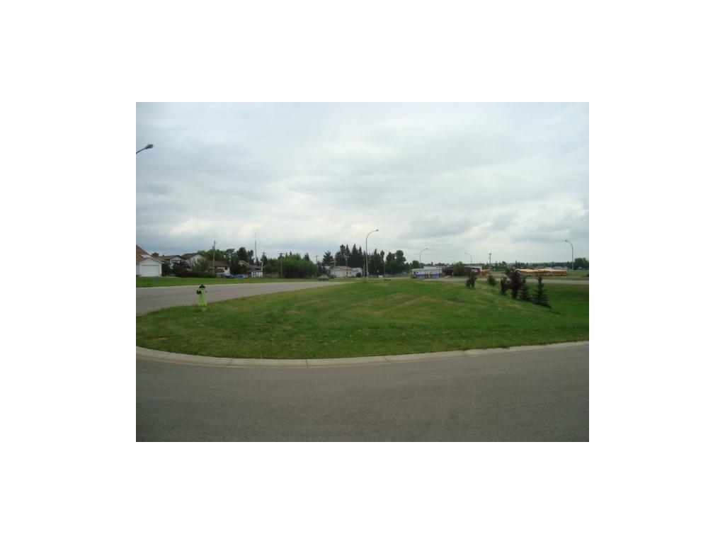 26 Evron Pl, Trochu, Alberta  T0M 2C0 - Photo 2 - C4117035