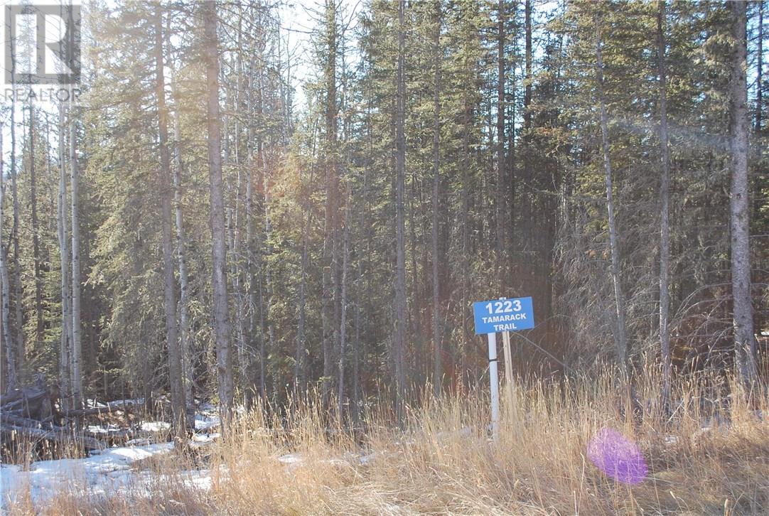 46 Homes for Sale in Nordegg, AB Nordegg Real Estate