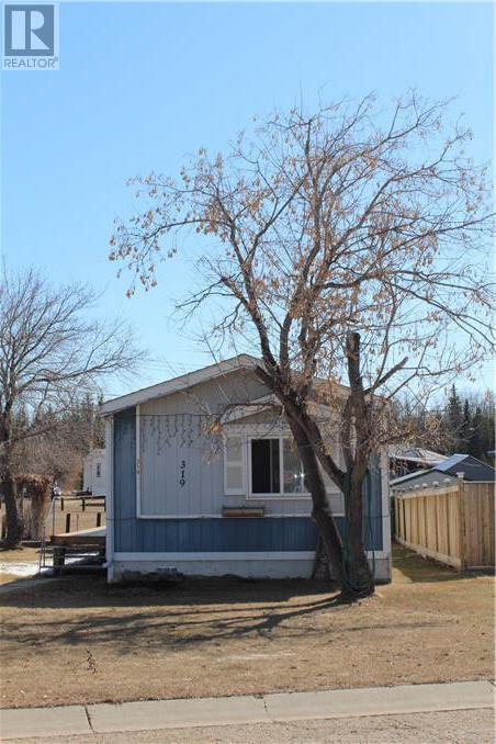 319 8 Se Avenue, Manning, Alberta, T0H2M0 | Photo: 1