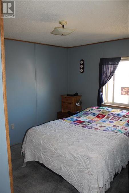 319 8 Se Avenue, Manning, Alberta, T0H2M0 | Photo: 12