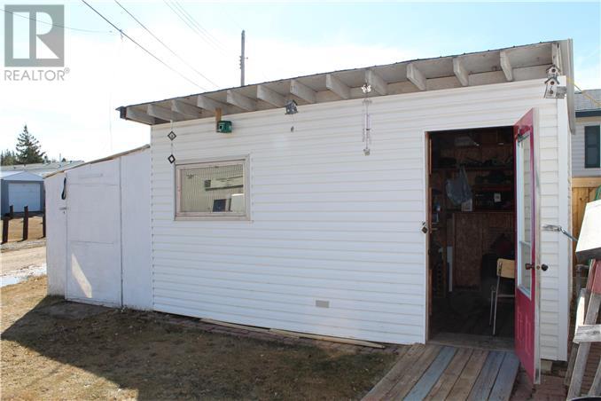 319 8 Se Avenue, Manning, Alberta, T0H2M0 | Photo: 17