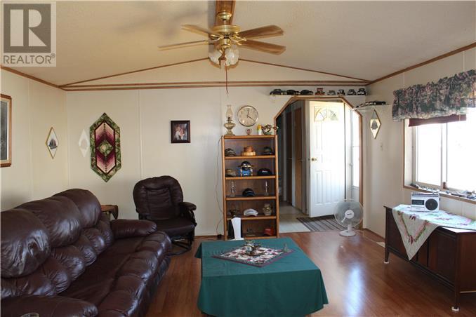 319 8 Se Avenue, Manning, Alberta, T0H2M0 | Photo: 7