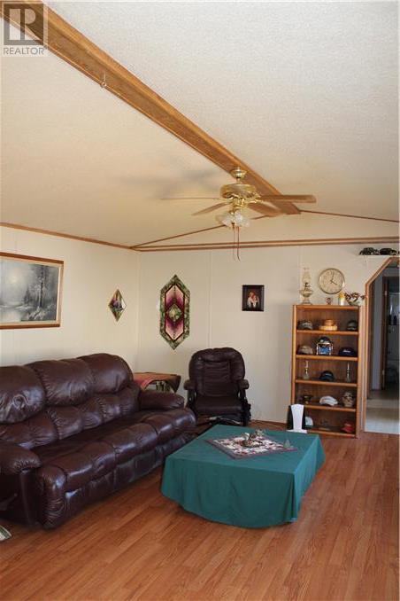 319 8 Se Avenue, Manning, Alberta, T0H2M0 | Photo: 8