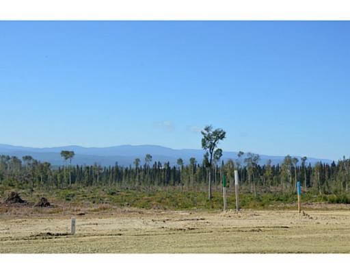 Lot 1 Bell Place, Mackenzie, British Columbia  V0J 2C0 - Photo 4 - N227293
