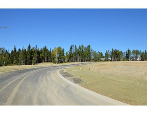 Lot 1 Bell Place, Mackenzie, British Columbia  V0J 2C0 - Photo 6 - N227293