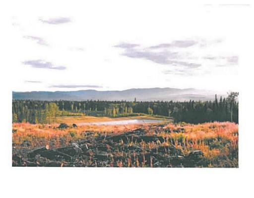 Lot 10 Bell Place, Mackenzie, British Columbia  V0J 2C0 - Photo 6 - N227303