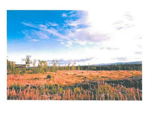 Lot 10 Bell Place, Mackenzie, British Columbia  V0J 2C0 - Photo 7 - N227303
