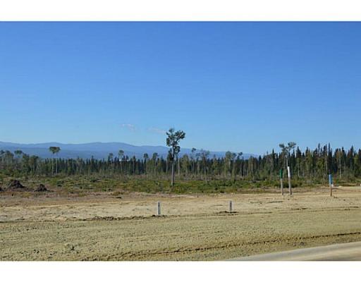 Lot 10 Bell Place, Mackenzie, British Columbia  V0J 2C0 - Photo 8 - N227303