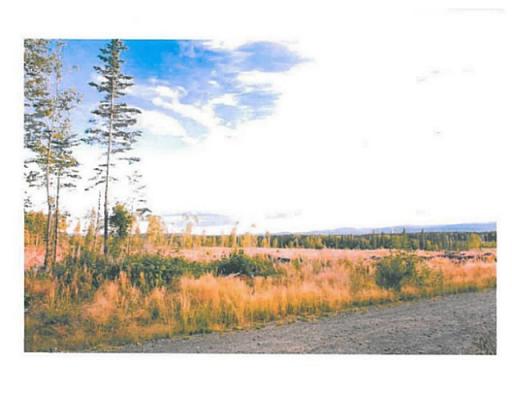 Lot 12 Bell Place, Mackenzie, British Columbia  V0J 2C0 - Photo 5 - N227305