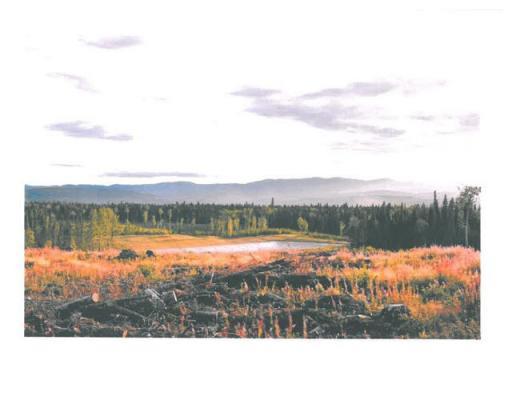 Lot 14 Bell Place, Mackenzie, British Columbia  V0J 2C0 - Photo 6 - N227307