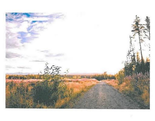 Lot 15 Bell Place, Mackenzie, British Columbia  V0J 2C0 - Photo 4 - N227308
