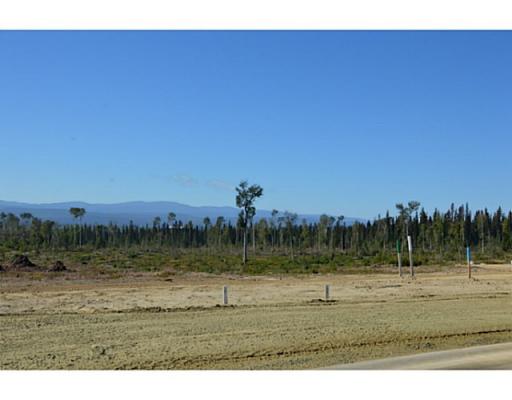 Lot 18 Bell Place, Mackenzie, British Columbia  V0J 2C0 - Photo 11 - N227311