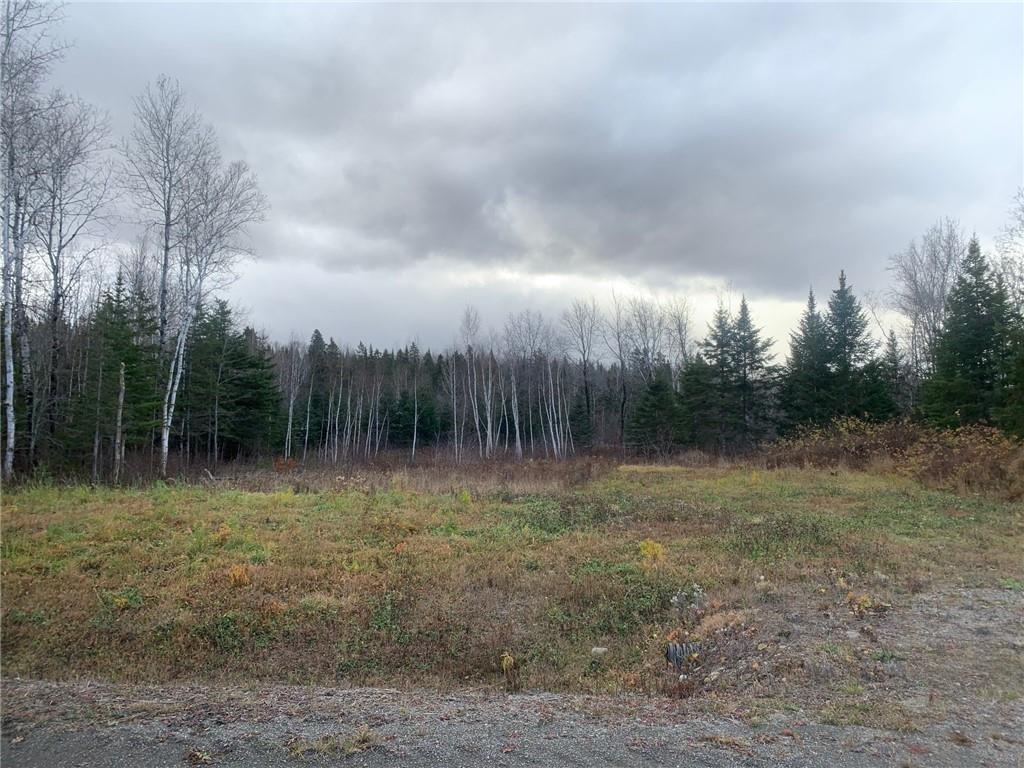 158 Caron Road, Dsl De Drummond/dsl Of Drummond, New Brunswick E3Y 1R2 - Photo 3 - 16-9978