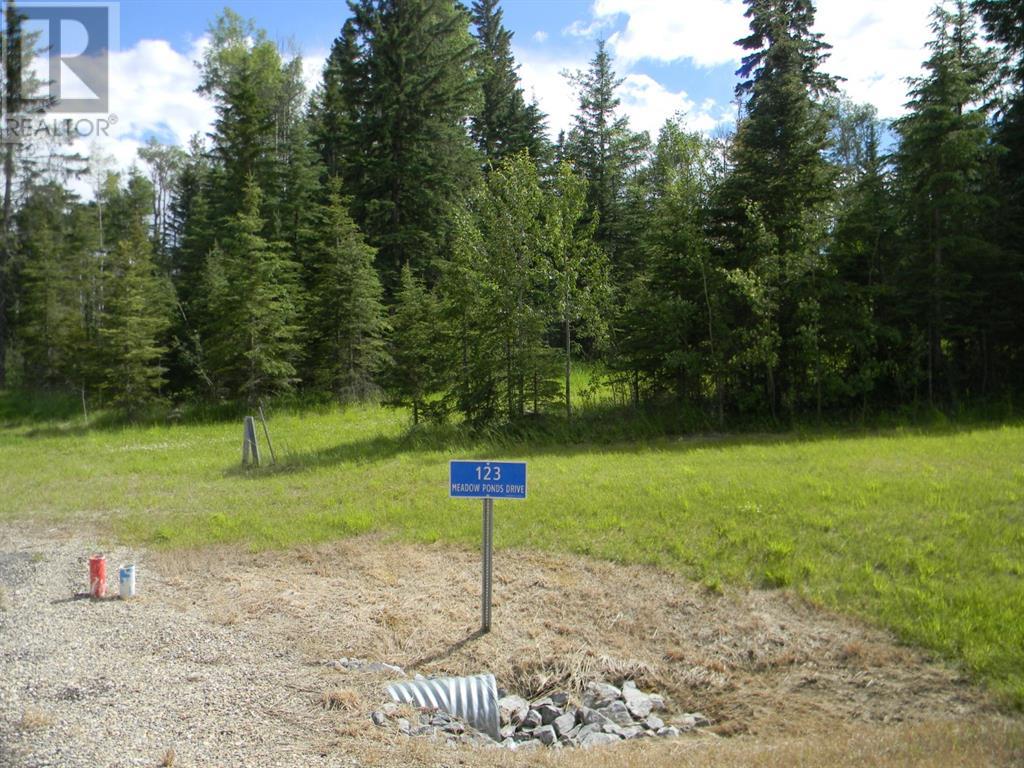 123 Meadow Ponds  Drive, Rural Clearwater County, Alberta  T4T 1A7 - Photo 6 - A1021042