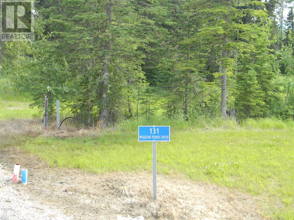 131 Meadow Ponds  Drive, Rural Clearwater County, Alberta  T4T 1A7 - Photo 8 - A1021056