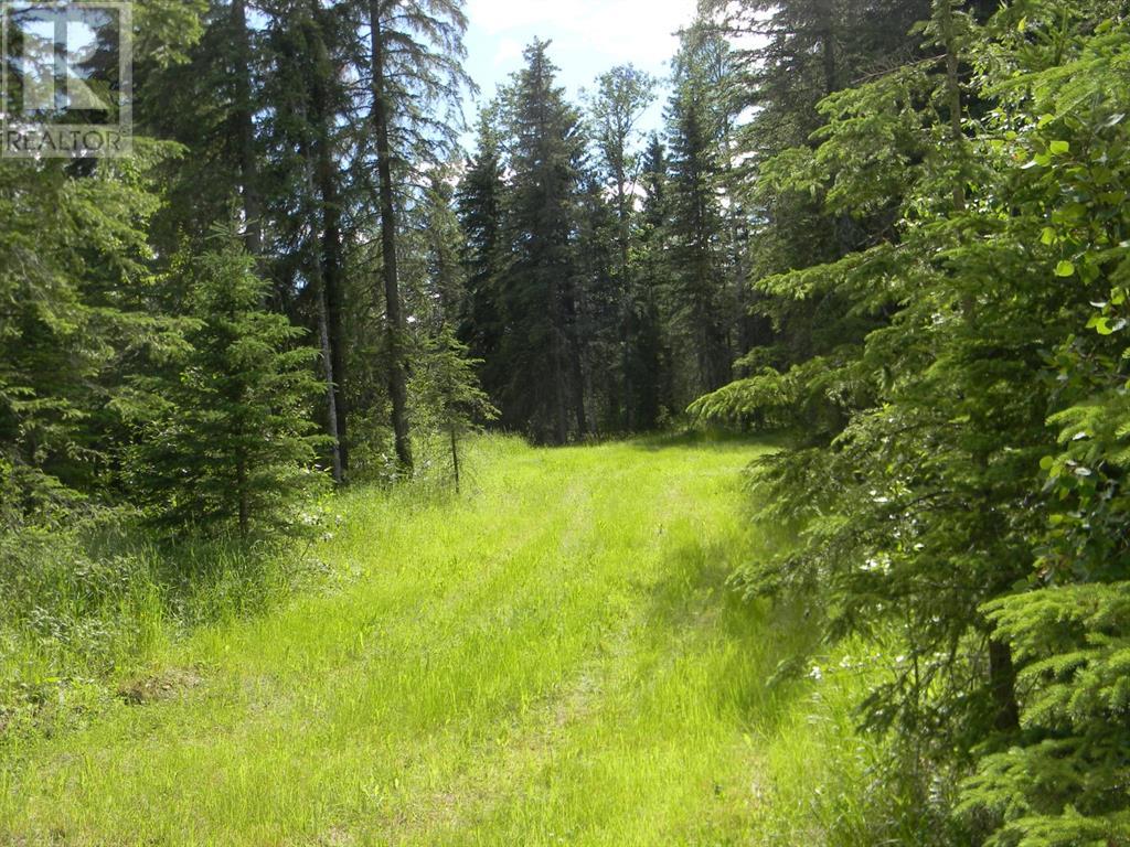 131 Meadow Ponds  Drive, Rural Clearwater County, Alberta  T4T 1A7 - Photo 2 - A1021056