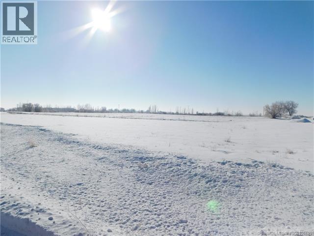 436 Margaret Avenue E, Duchess, Alberta  T0J 0Z0 - Photo 3 - SC0158145