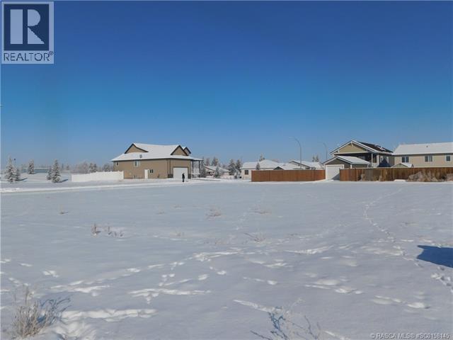 436 Margaret Avenue E, Duchess, Alberta  T0J 0Z0 - Photo 4 - SC0158145