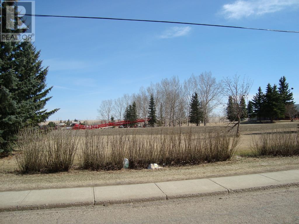 207,209 Main Street, Trochu, Alberta  T0M 2C0 - Photo 10 - A1094293