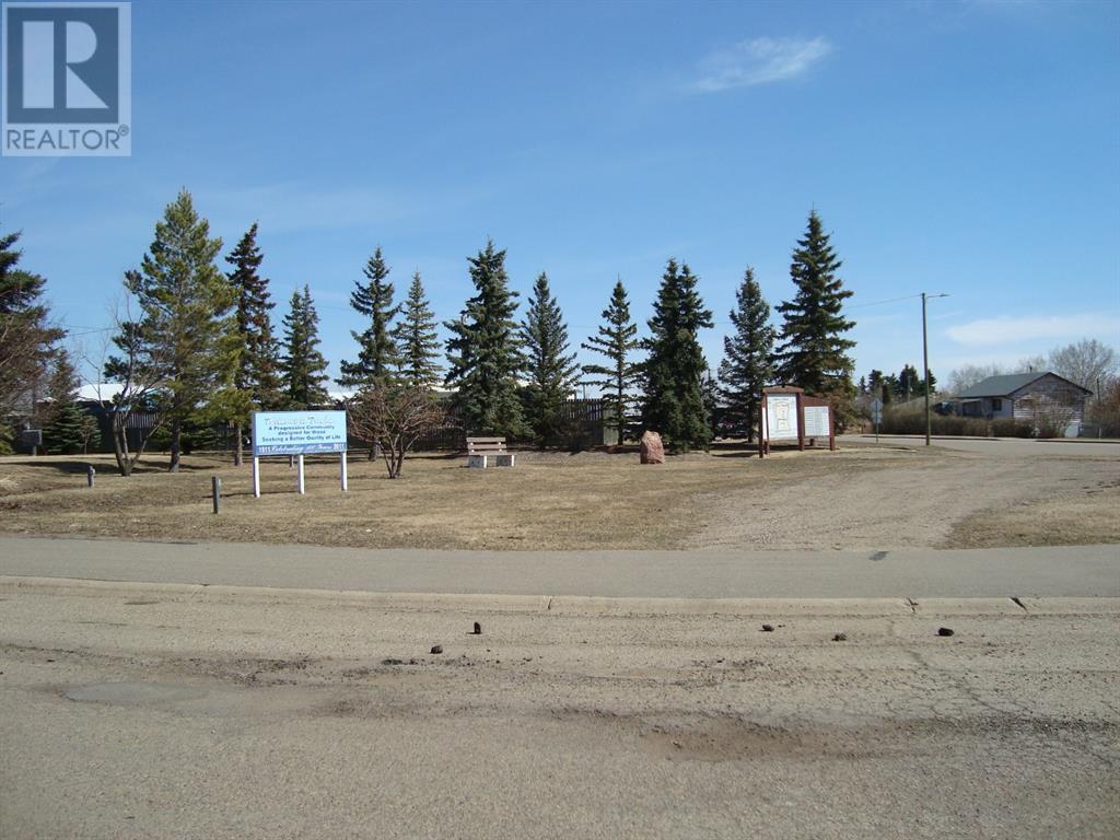 207,209 Main Street, Trochu, Alberta  T0M 2C0 - Photo 16 - A1094293