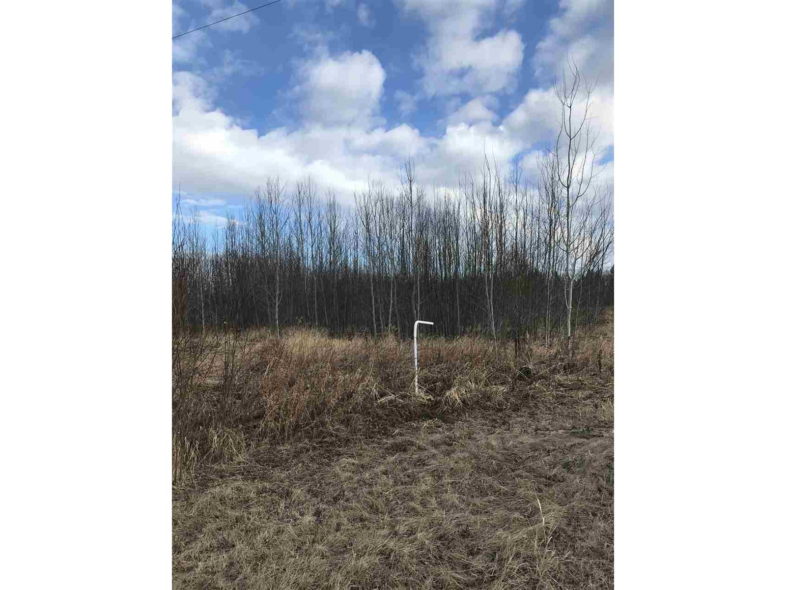 Lot 3 Aspen Rd, Boyle, Alberta  T0A 0M0 - Photo 5 - E4239184