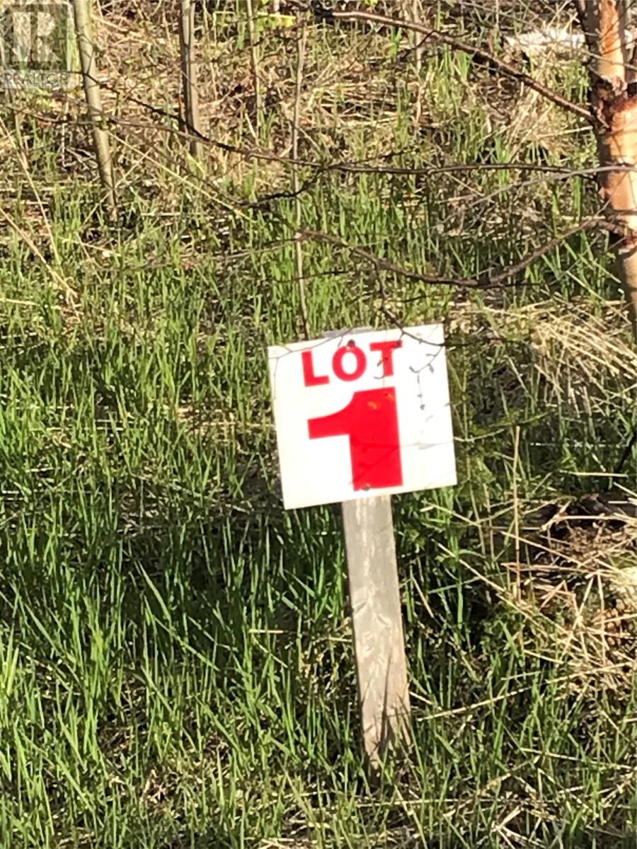 Photo of 1 Grandview Drive, Musgravetown