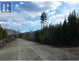 LOT 2 SMALL RIVER FSR ROAD, valemount, British Columbia