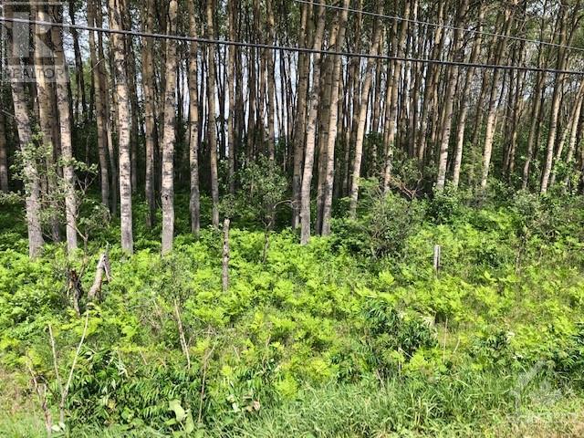 15758 17 Road, Whitewater Region, Ontario  K0J 1K0 - Photo 3 - X10402045