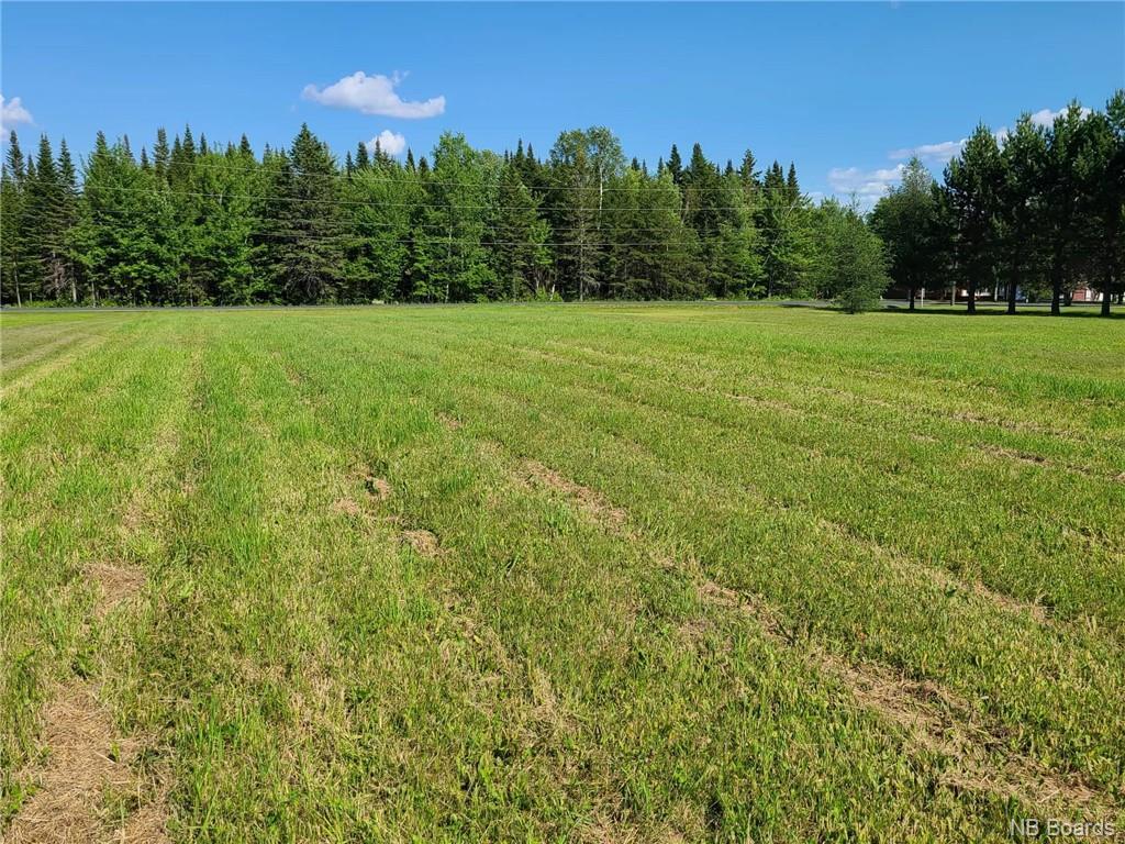 - Riceville Road, Saint Hilaire, New Brunswick E3V 4S8 - Photo 5 - NB060027