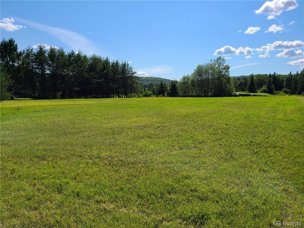 - Riceville Road, Saint Hilaire, New Brunswick E3V 4S8 - Photo 3 - NB060027