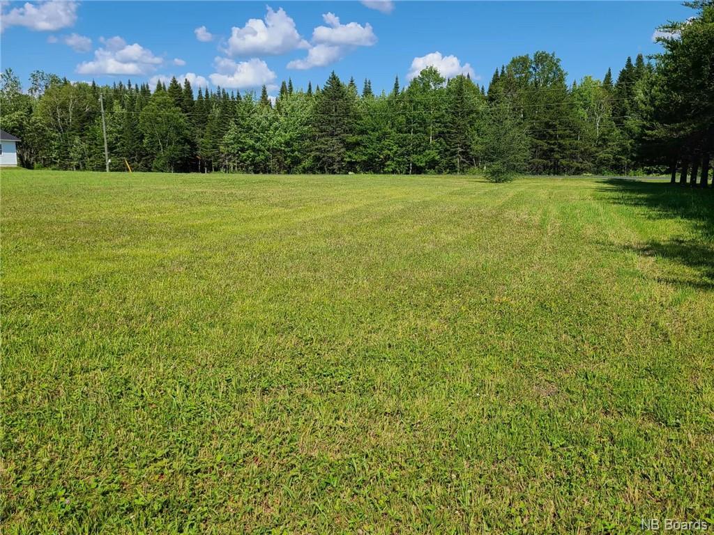 - Riceville Road, Saint Hilaire, New Brunswick E3V 4S8 - Photo 2 - NB060027