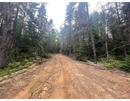 LOT South Cains River Road
