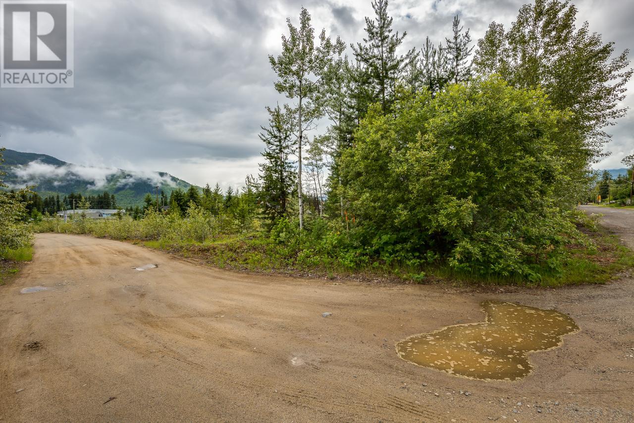 434 Wildwood Road, Clearwater, British Columbia    - Photo 28 - 164135