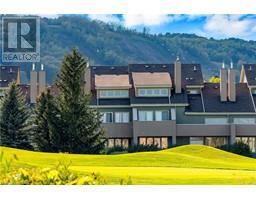 107 WINTERGREEN Place Unit# 127