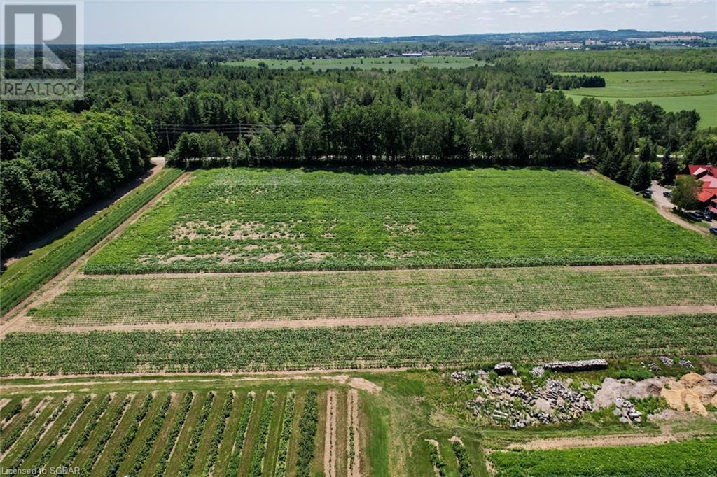 7865 26 Highway, Clearview, Ontario  L0M 1S0 - Photo 22 - 40144824