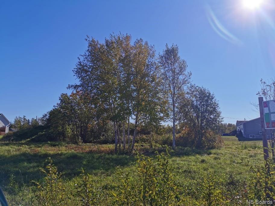 Lot 24 Charles Street, Charlo, New Brunswick E8E 2G8 - Photo 2 - NB064264